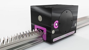 Toothed comb.jpg